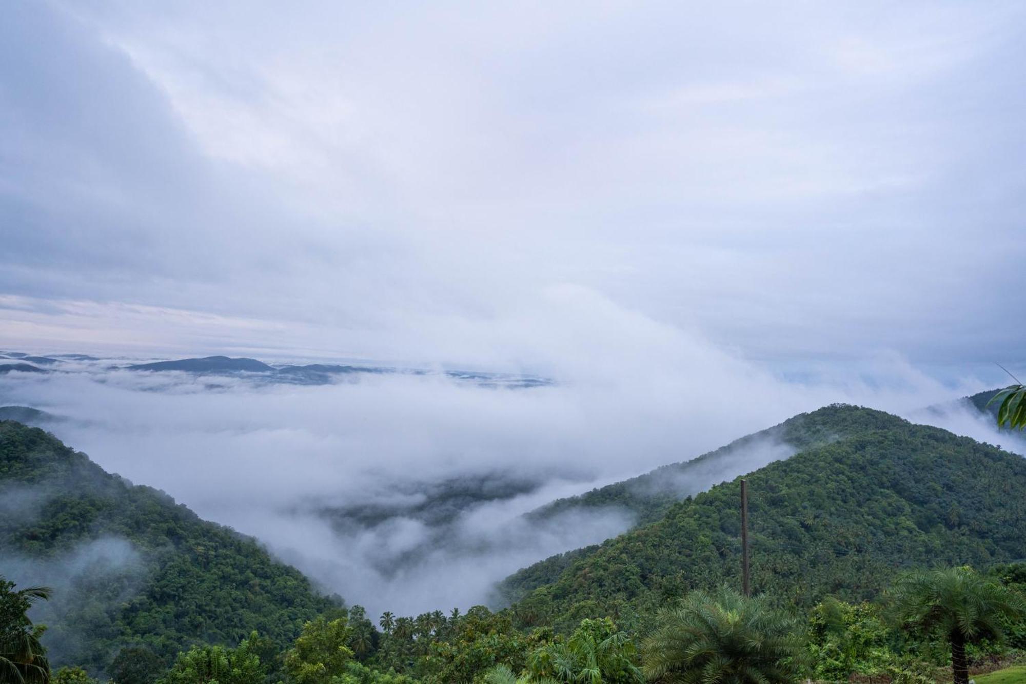 Mount Stratus Resort Vayalada Balussery Eksteriør bilde